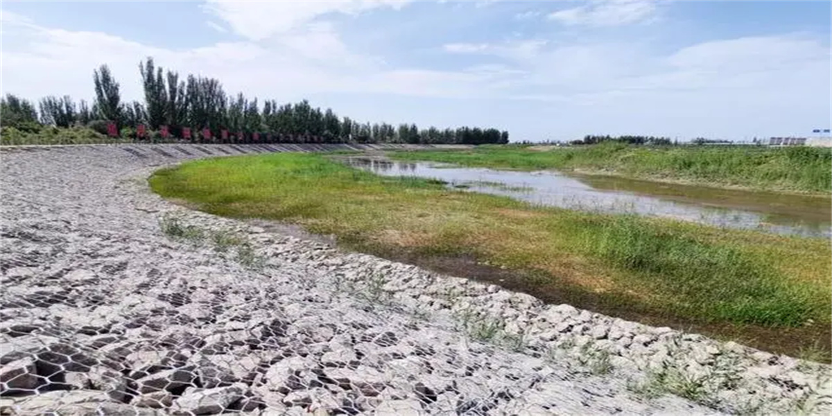 新疆阿克蘇流域山水工程：筑牢防風(fēng)固沙“綠色長城”-新疆冰瑞克農(nóng)業(yè)科技有限公司